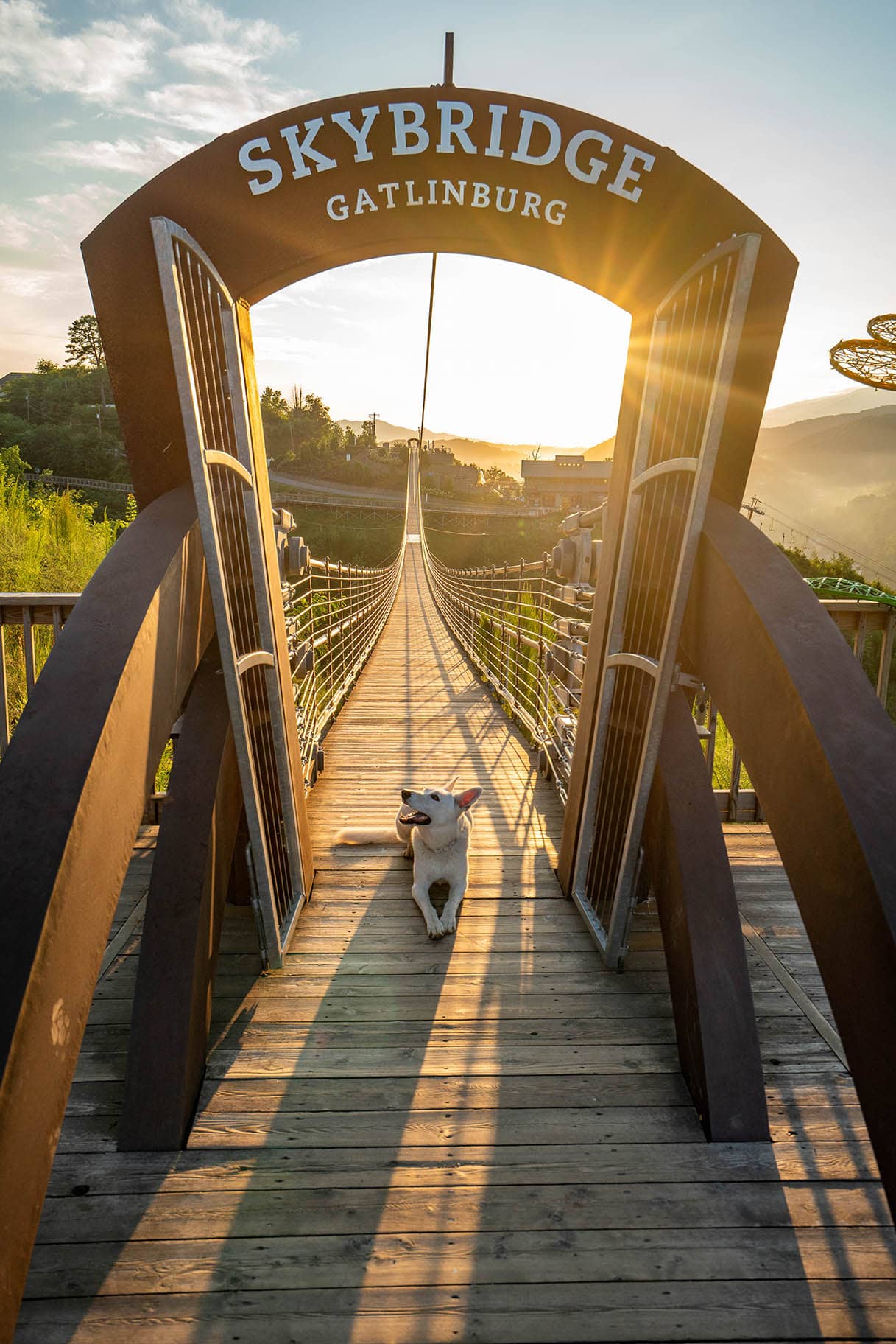 The SkyBridge at sunrise.