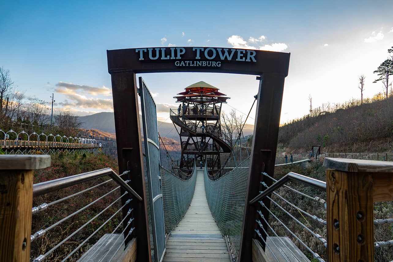 A view Tulip Tower. A four storied viewing tower of the Great Smoky Mountains.