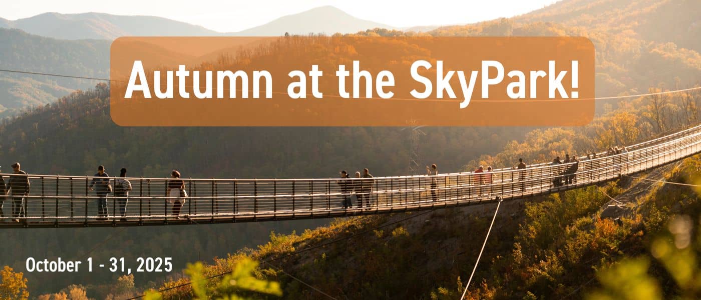 Fall Sunset on the SkyBridge