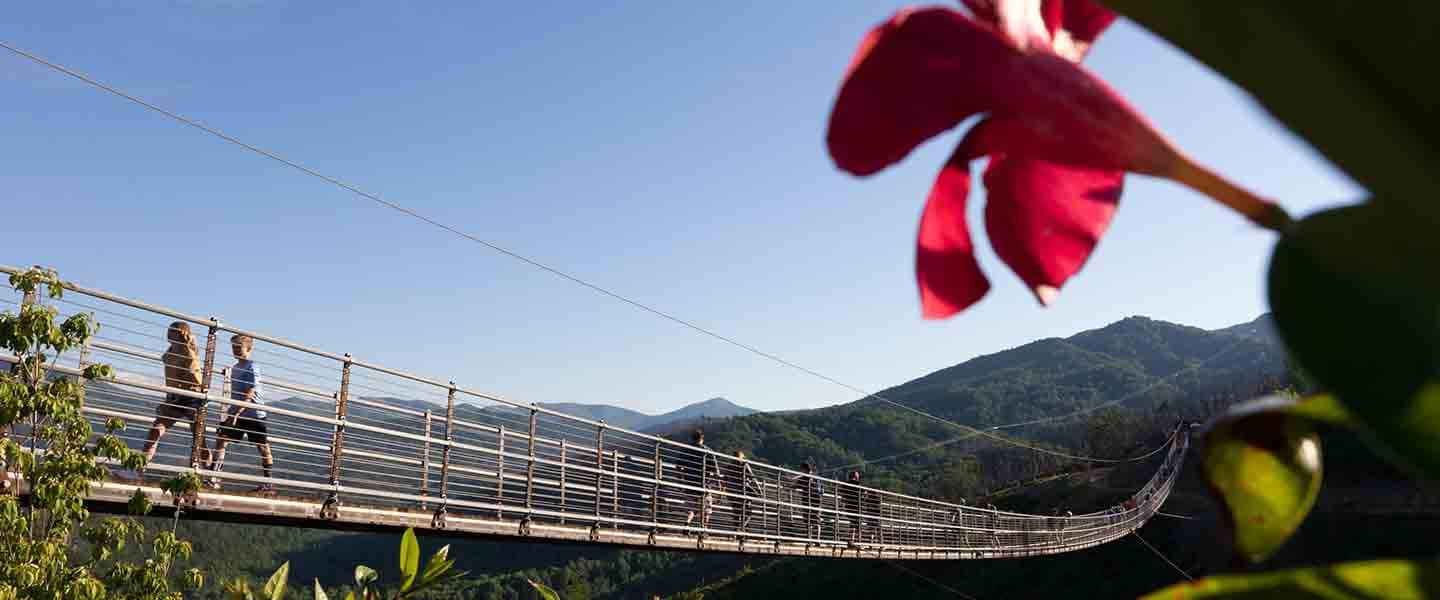 The Gatlinburg SkyBridge with spring flowers.