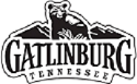 Gatlinburg Convention and Visitors Bureau Logo